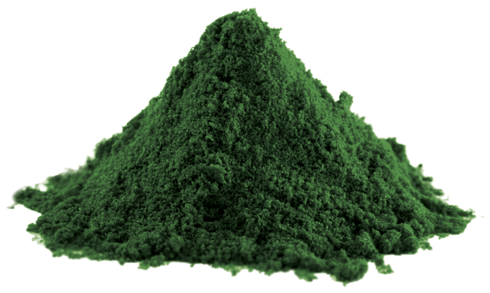 Spirulina BluSpir Riconquista il tuo Benessere AgoLab Nutraceutica